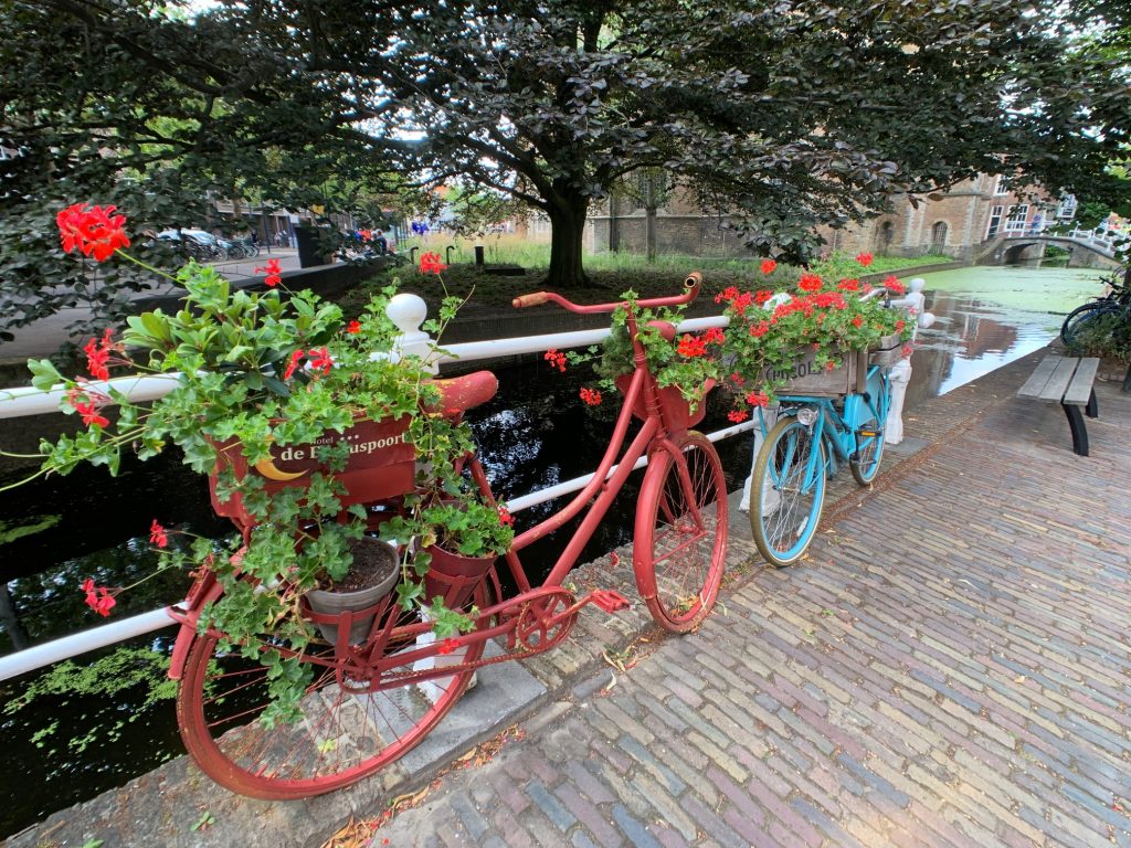 Red and blue bikes, which have red flowers in the baskets. Bikes are leaning against the rail overlooking a canal in Amesterdam..